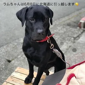 https://guesthouse-toi.kanagawa-hotels.com
